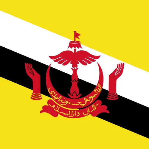 Brunei Darussalam premium unlimited daily eSIM