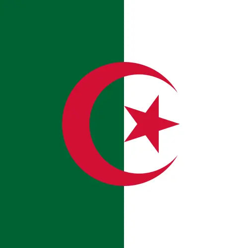 Algeria Budget Unlimited Data Plan