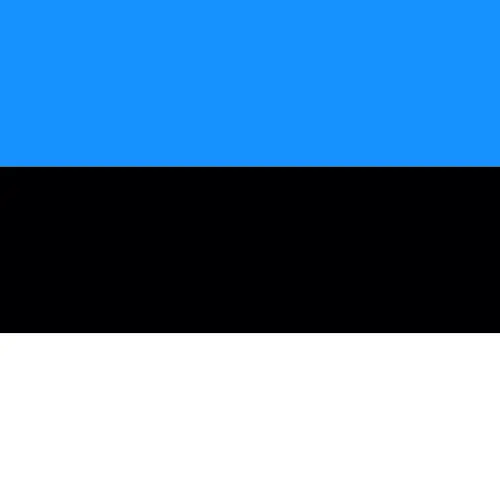 Estonia premium unlimited daily eSIM