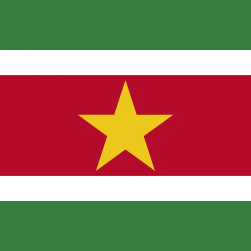Suriname premium unlimited daily eSIM