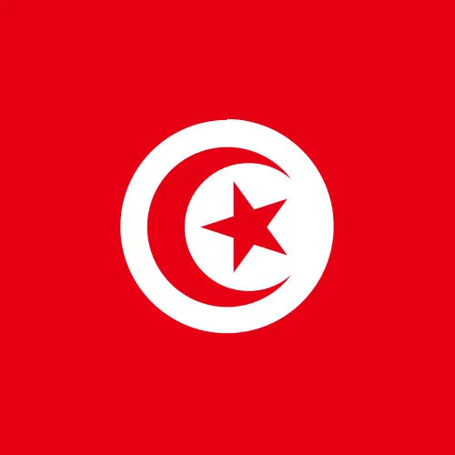 Tunisia Budget Unlimited Data Plan